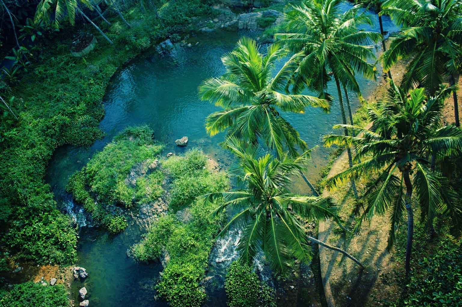 Green nature and water landscape near Tiruchendur