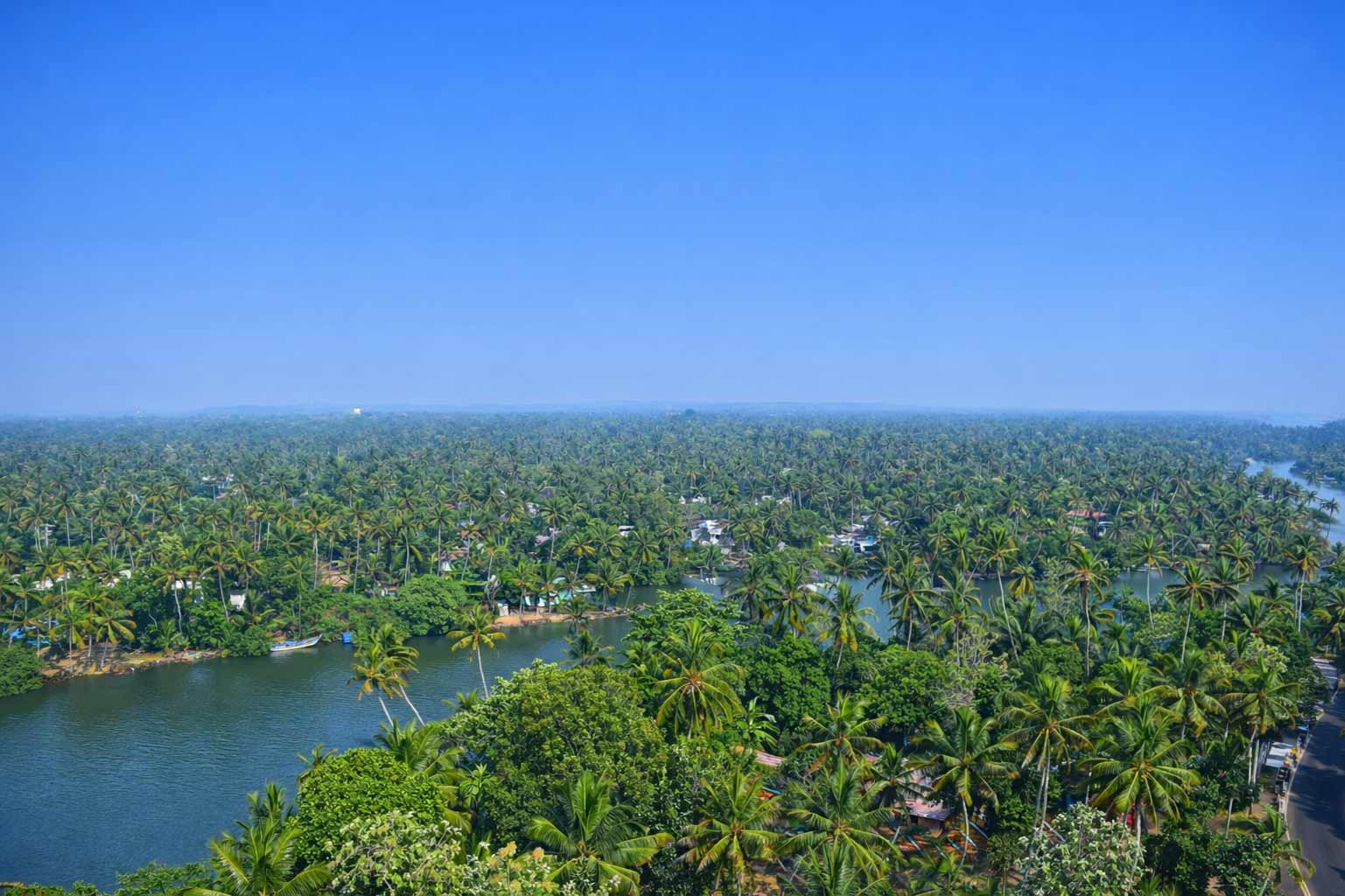 Scenic backwaters surrounded by greenery Tiruchendur